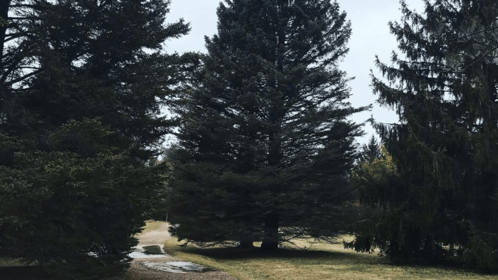 Part-time PhD in a&nbsp;pandemic